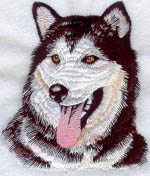 animal