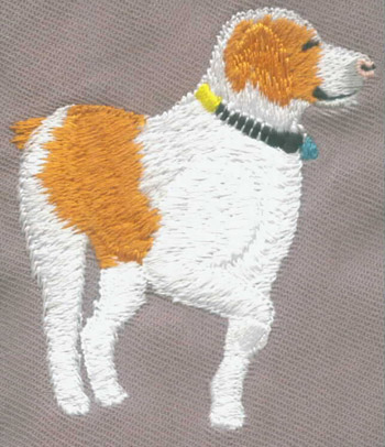 animal