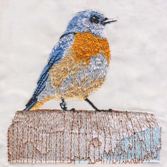 bird