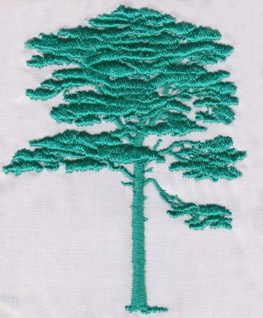 tree